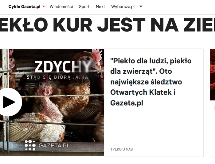 Będzie piekło? Tak kobiety zrównano z kurami