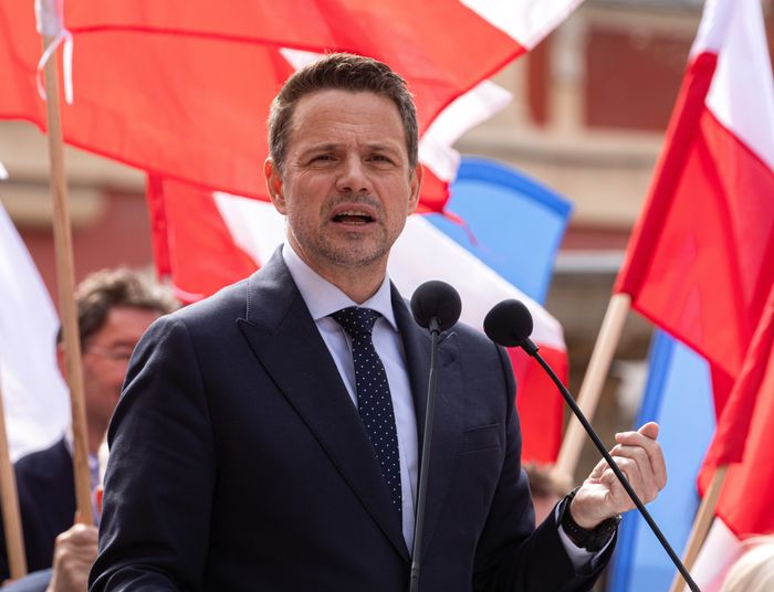 Kant koński, czyli patataj. Impresja wyborcza