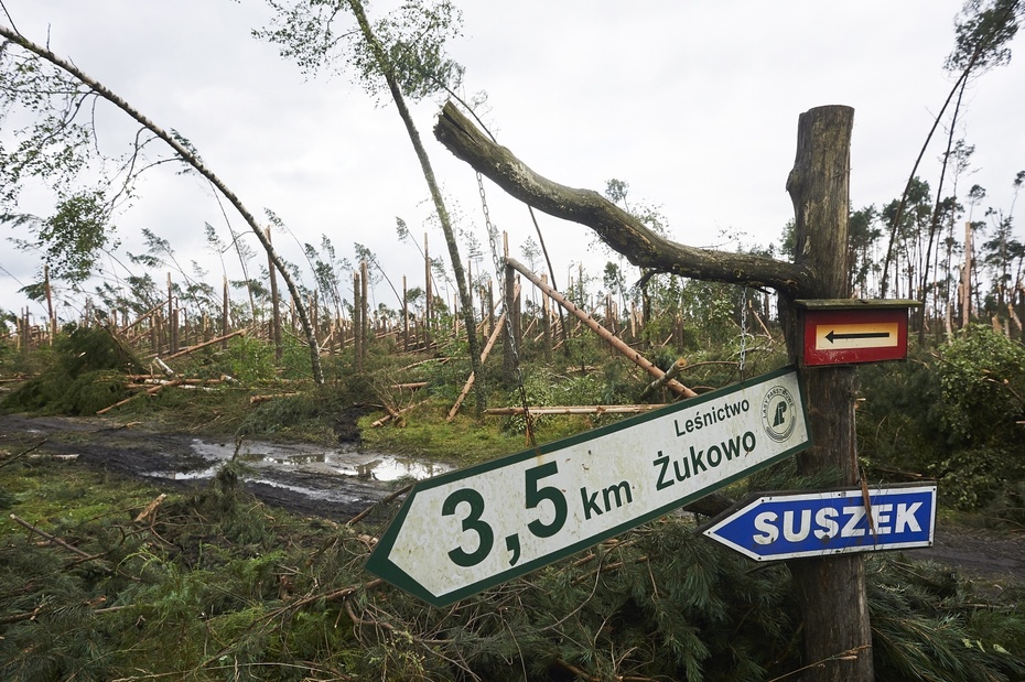 Zniszczone obozowisko w Suszku, fot. PAP/Dominik Kulaszewicz