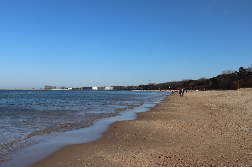 Na większości trójmiejskich plaż zakwitły sinice. Źródło: commons.wikimedia.org