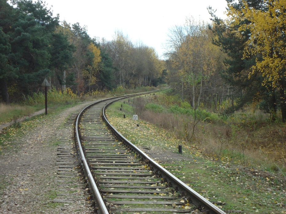 Linia kolejowa nr 32 odc. Białystok - Lewickie, okolice p.o. Białystok Stadion, 28.10.2013 (fot. Tomasz Galicki)