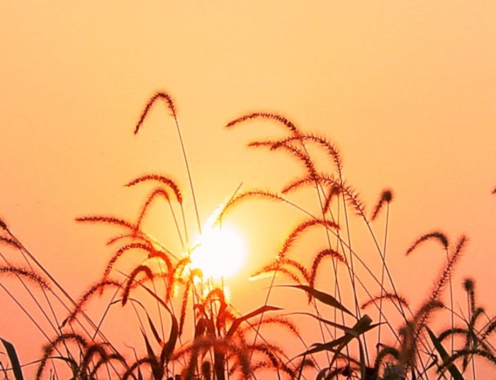 ONZ bije na alarm. "Zmiany klimatu to czerwony alert dla ludzkości"