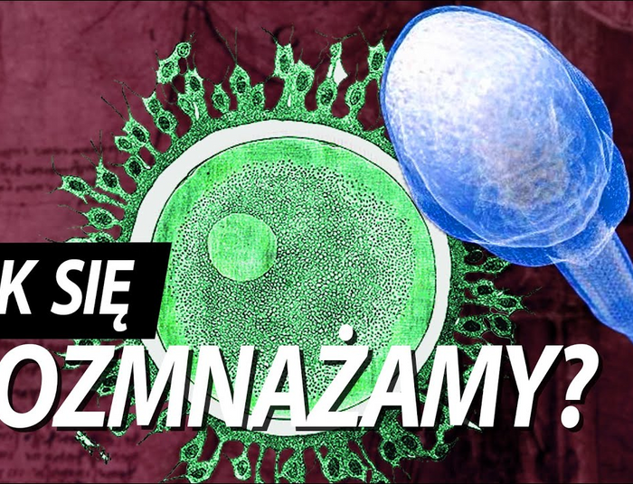 Jak TO robimy? (film o rozmnażaniu)