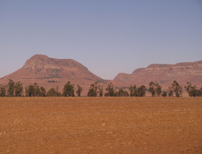 FARMLANDS (2018) – Kanadyjska dziennikarka o RPA