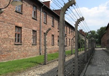Ogrodzenie KL Auschwitz I (fot. Michał Tyrpa)