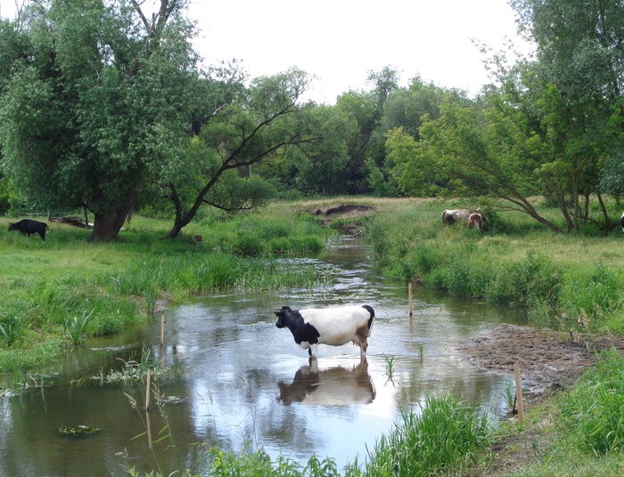 Wiejskość zachowana