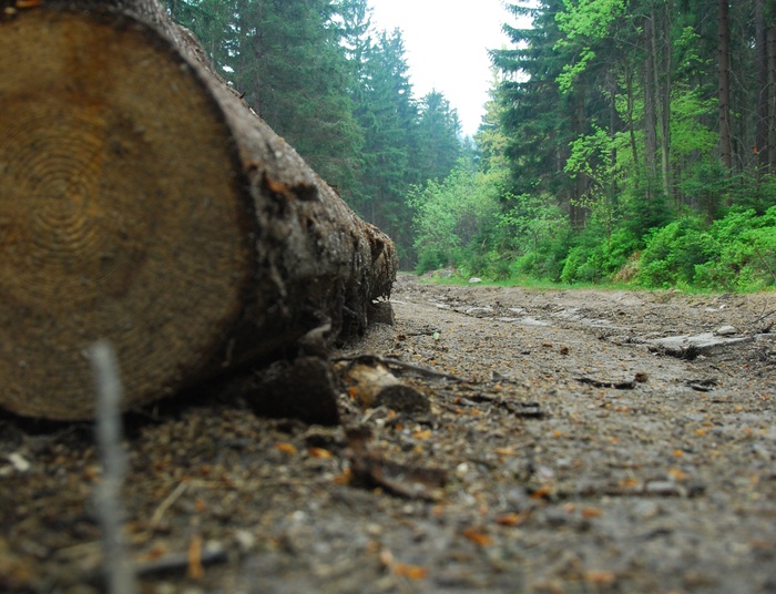 Nie bądźmy egoistami!
