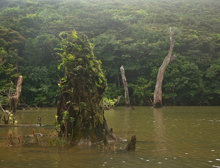 Lanyu – mikroświat otoczony Oceanem Spokojnym, wzbogacony odpadami nuklearnymi.