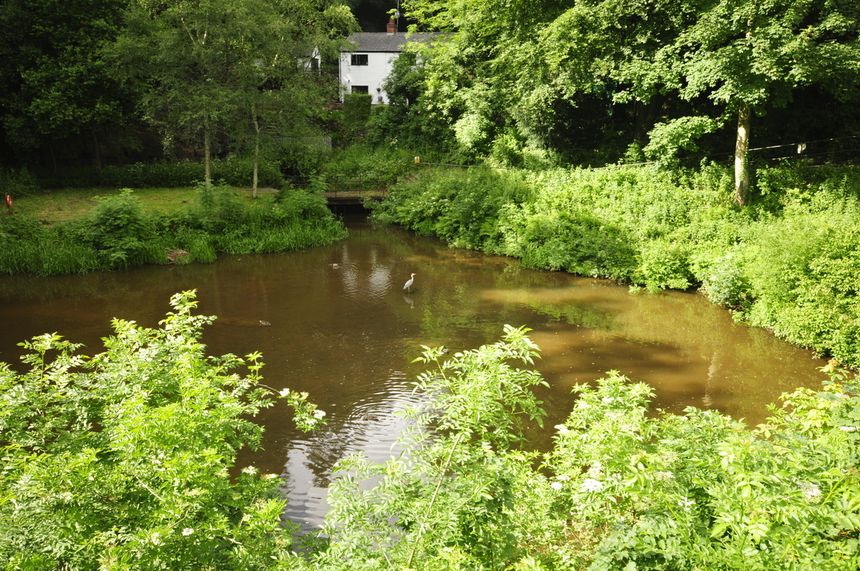 Kopalnia Delph, dziś pilnowana przez czaplę