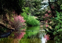 Arboretum Witry wiosną