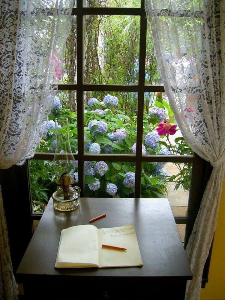 Okno domu rodzinnego - archiwum z internet