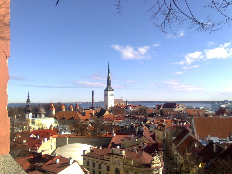 Panorama Tallinna - stare miasto