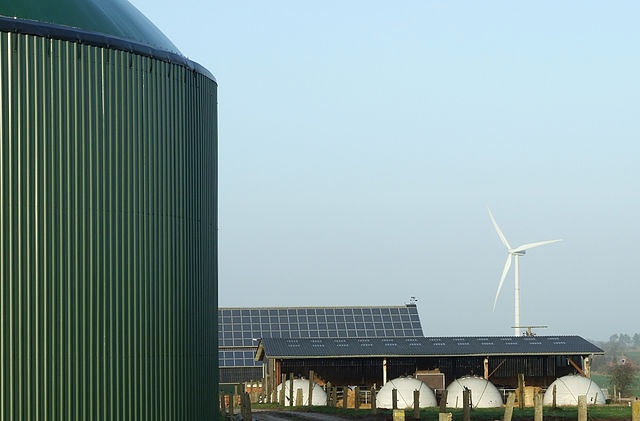 Główne źródła energii odnawialnej w Niemczech to biomasa, wiatraki i fotowoltaika. Fot. Wikipedia/ Florian Gerlach (Nawaro)