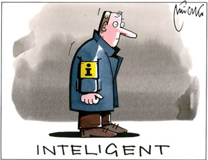 Czy PIS ma ofertę dla wykształciuchów?