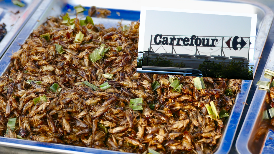 W sklepach sieci Carrefour kupić można jadalne owady. (fot. Pixabay, Flickr)