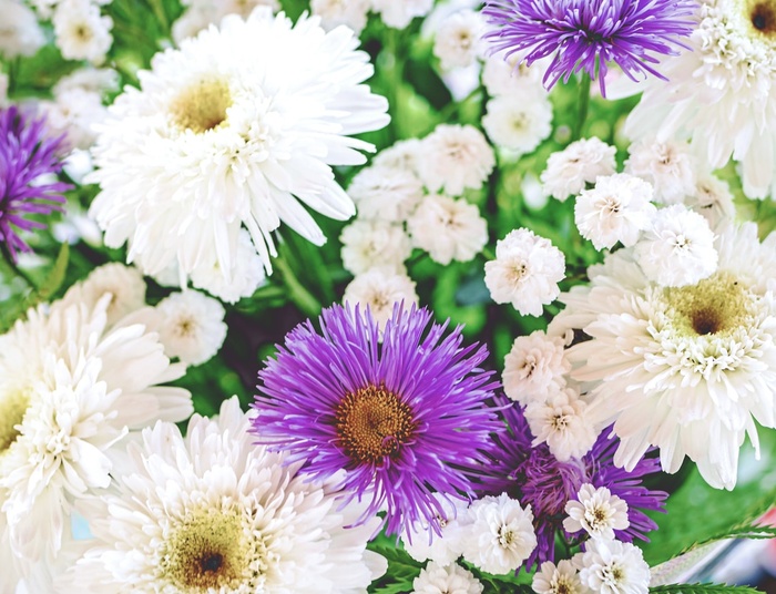 Najlepsze kwiaty na balkon