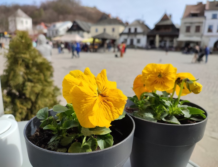 Notka ani o kowidzie, ani nawet o wojnie, choć tu bym nieco polemizowała