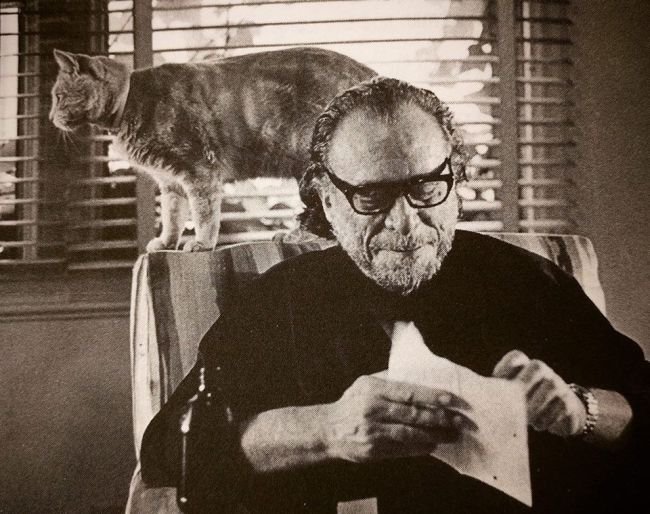Bukowski, kot, dzień kota, salon24