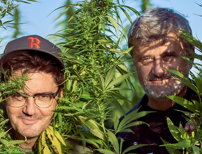 Duet Wojewódzkiego z Palikotem. Produkują piwo "Buh", chcą zająć się wódką z CBD