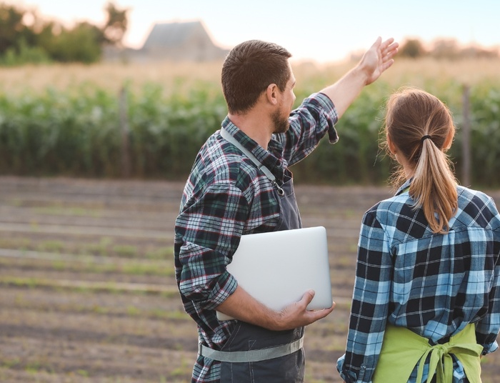 Stawki za pracę w wakacje. W Niemczech można zarobić naprawdę sporo