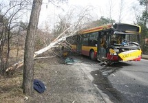 Wesoły autobus+brzoza: jeśli były odlamki to była bomba?