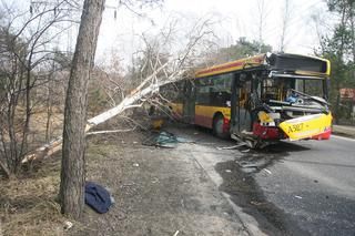 Wesoły autobus+brzoza: jeśli były odlamki to była bomba?