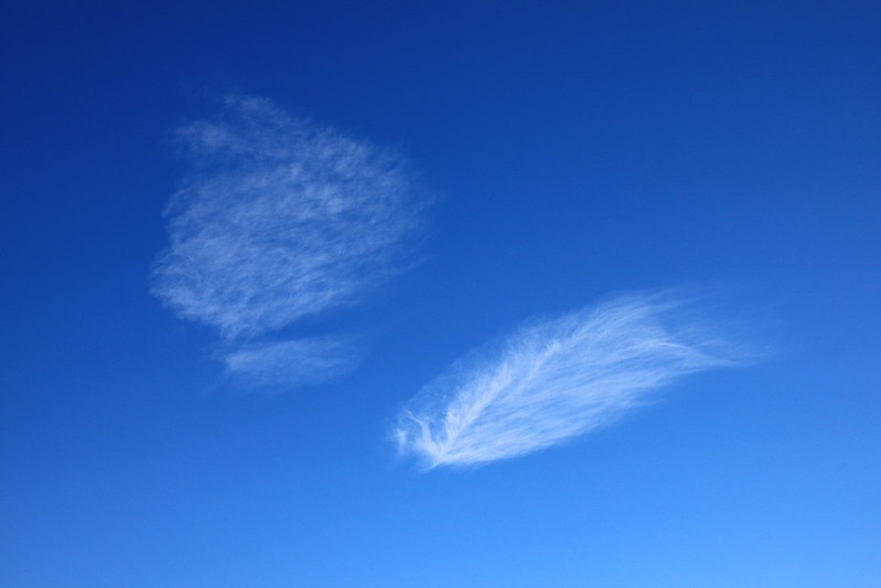 Tytuł: Nuvole foglia - Clouds leaf, autor: Gianni Del Bufalo, źródło: https://bit.ly/2pEDnbc.