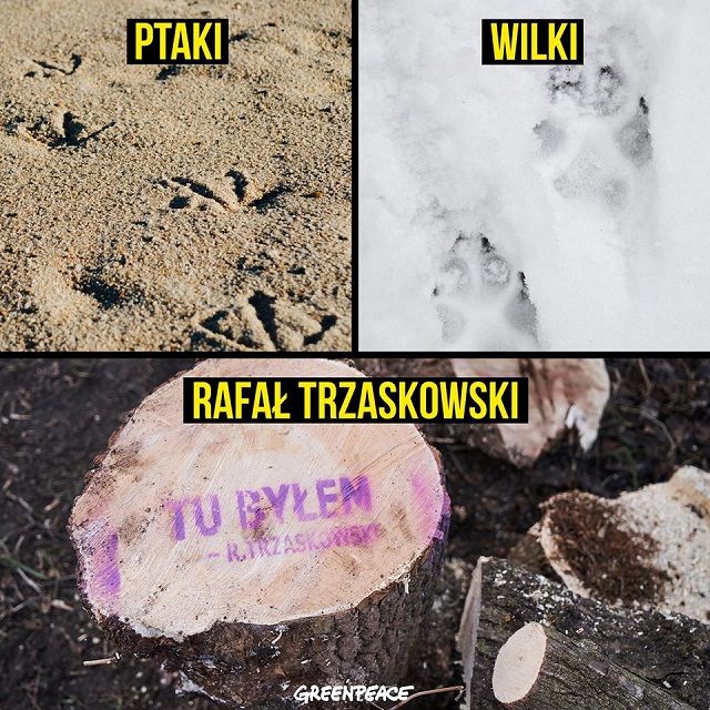 Greenpeace Polska, Wybrzeże Helskie