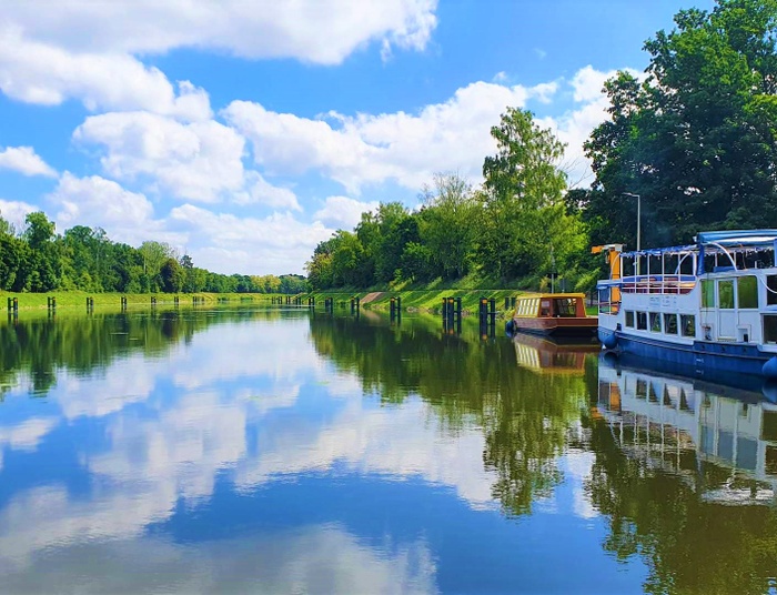 Śnięte ryby w Kanale Gliwickim. Wyłowiono ich już ponad tonę