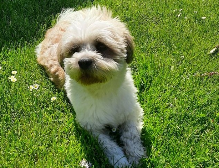 Półcień. Nowe filtry polaryzacyjne