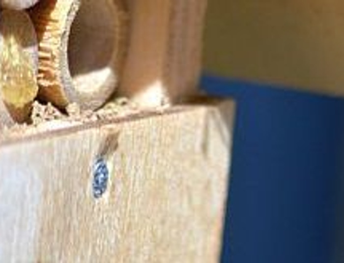 Czy jest jakiś pszczelarz na Salonie24?