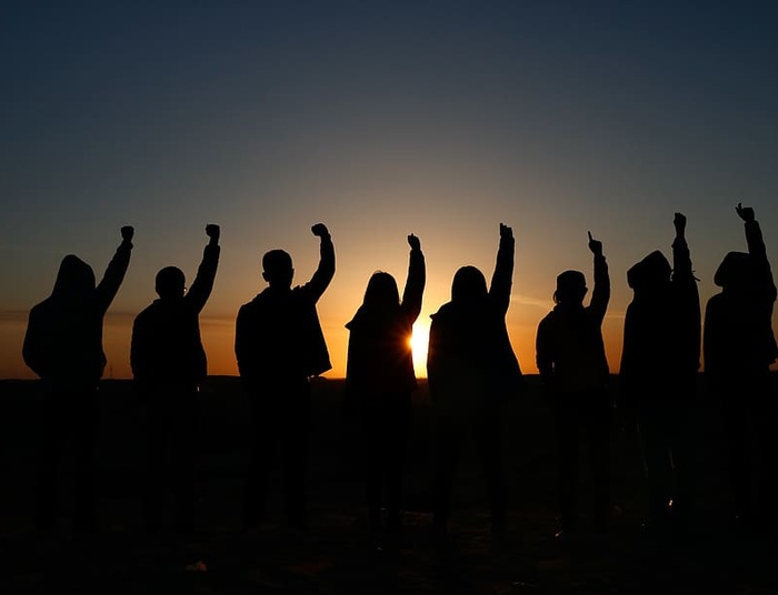 Pozwolenie na siew, czyli świat w normie