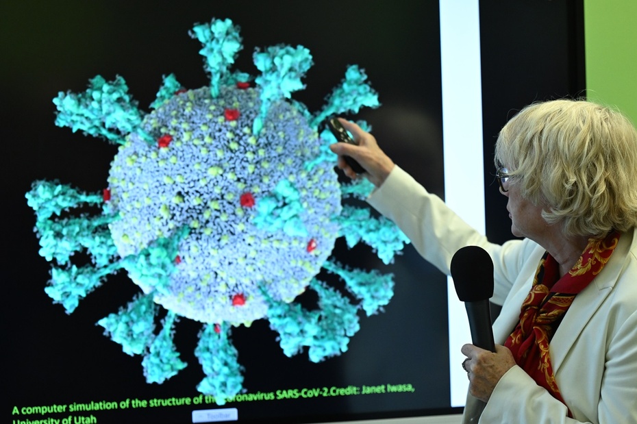 Wirusy ukryte w wiecznej zmarzlinie mogą wywołać choroby u ludzi. Fot. PAP/Adam Warżawa / Zdjęcie ilustracyjne