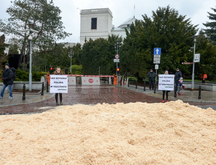 Trociny przed Sejmem. Akcja Greenpeace przeciwko Lex Szyszko