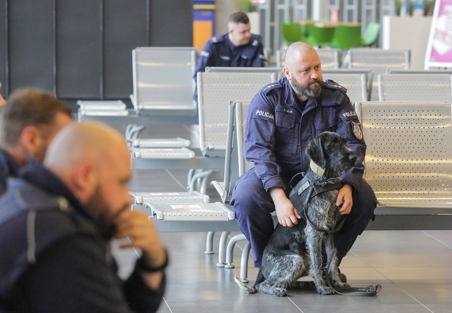 Pokaz umiejętności psów policji. Fot. PAP/Tomasz Waszczuk