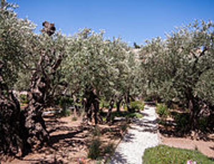 Wielki Czwartek w Jerozolimie