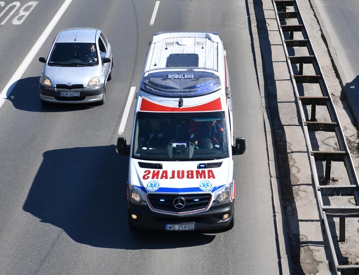 Groźna dla zdrowia i życia bakteria w przyprawach. Służby ostrzegają