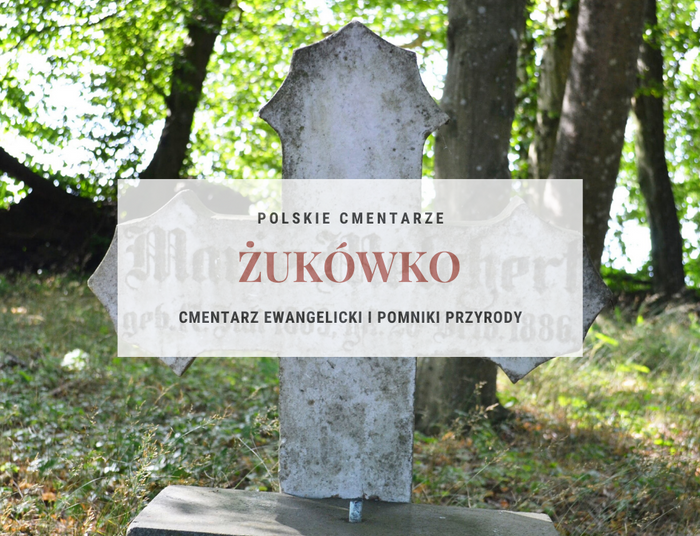 Cmentarz ewangelicki w Żukówku z pomnikowym drzewostanem w tle