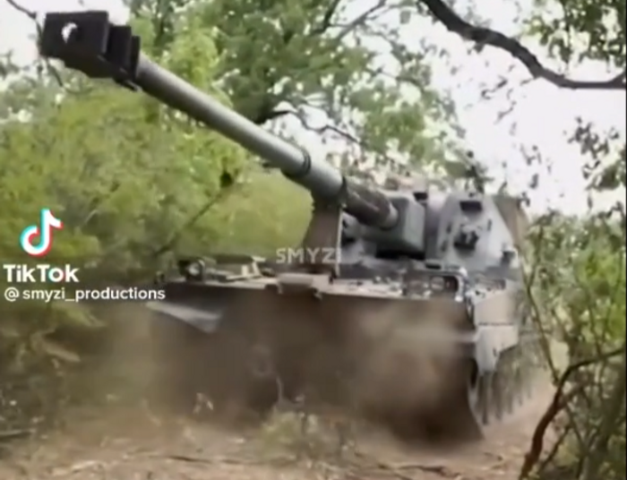 Armia Nowego Wzoru - kontrowersje