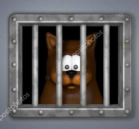 https://pl.depositphotos.com/19144253/stock-photo-cat-in-prison.html