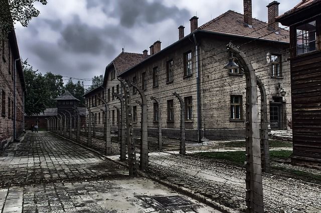 Muzeum Auschwitz, koronawirus