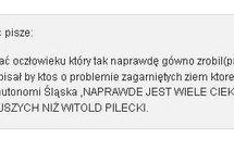 Komentarz ze strony Młodzieży Wszechpolskiej