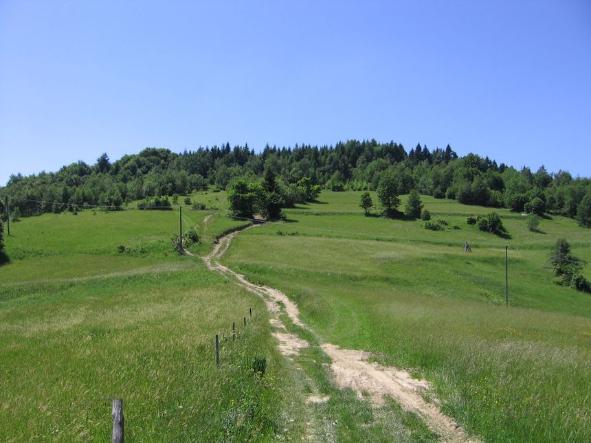 szlak w okolicach Obidzy