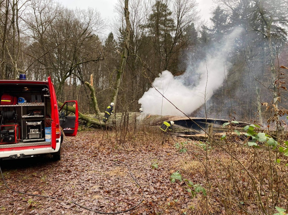 Gaszenie pożaru zabytkowego dębu Jagiełły. Fot. Facebook/ OSP Lidzbark
