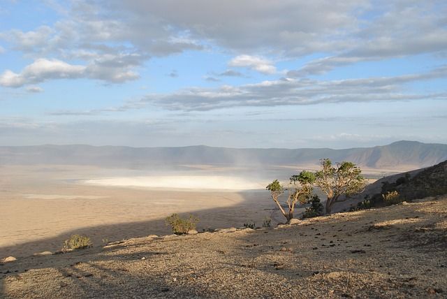 Krater Ngorongoro. Fot. Pixabay