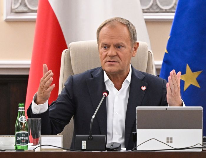 Po tym sondażu Tusk się nie wścieknie. Jemu najbardziej ufają respondenci