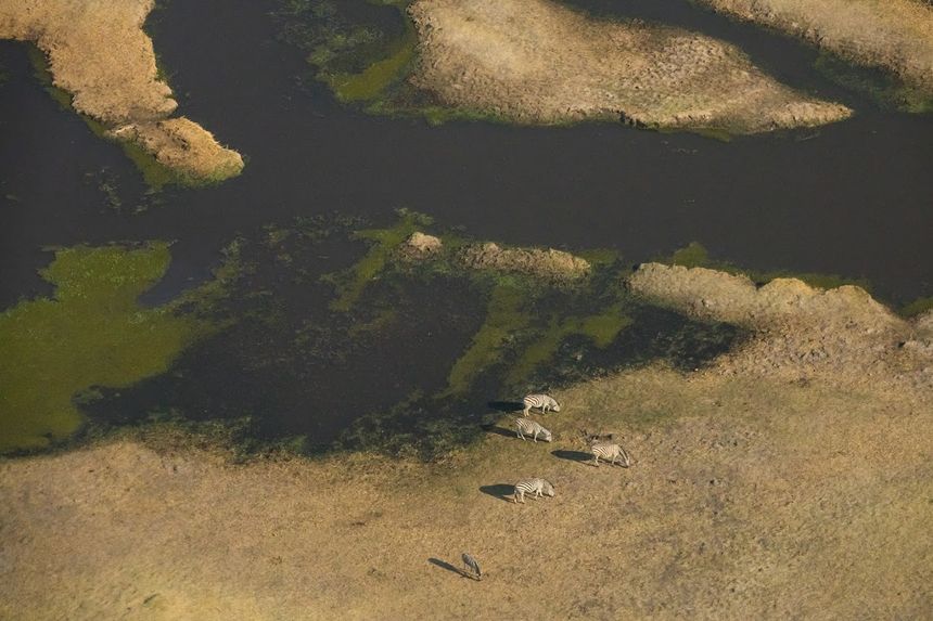 Widok z góry na to co kedyś było fragmentem delty Okawango
