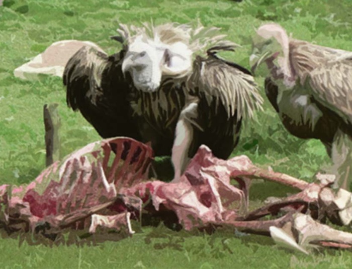 Pogrzeb w zgodzie z naturą