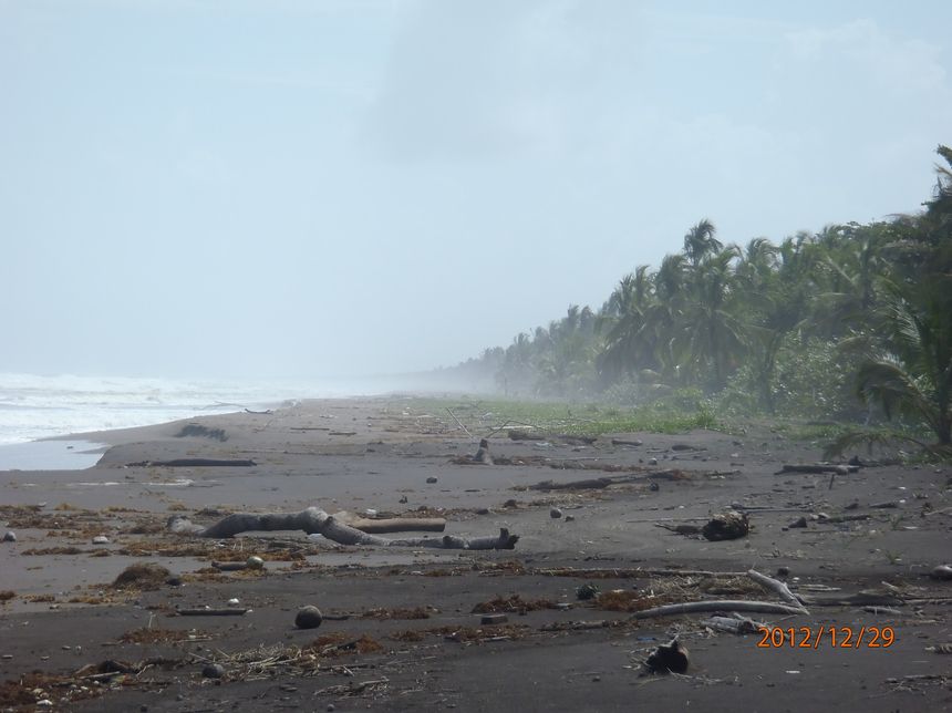 Plaża w Trotugero. Tutaj setki morski żółwi składa jaja. Ziem bez ziemi