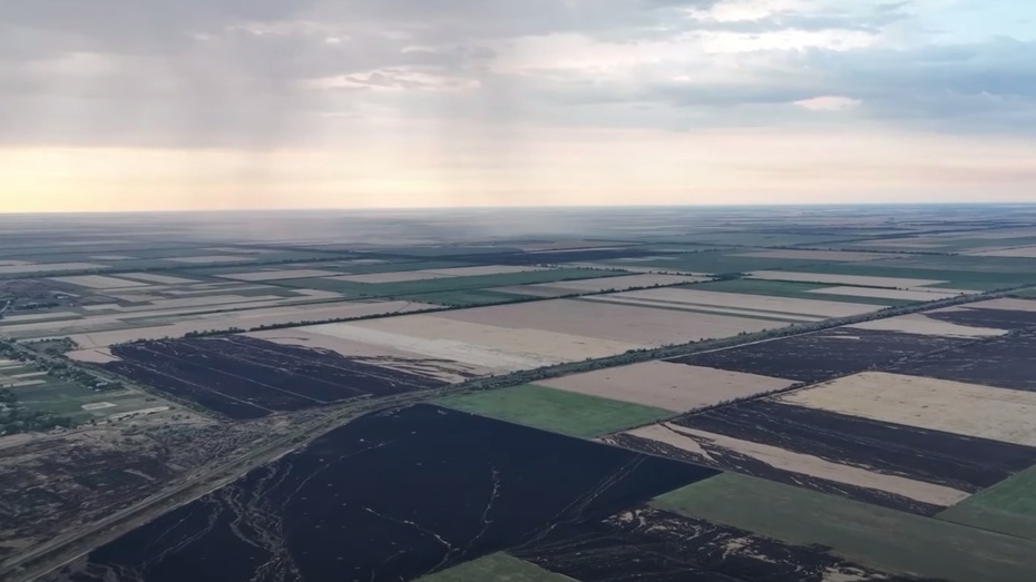 Płoną ukraińskie pola. Rosjanie bombardują hektary upraw pszenicy i jęczmienia. (fot. YouTube/CNN)